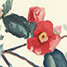 Yoshiji Oguri Gallery